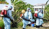 Lâm Đồng: Liên tiếp 4 trường học bùng phát bệnh tay chân miệng