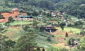 Lâm Đồng: Xây ‘chui’ cả ngôi làng trên đất lâm nghiệp