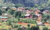 Kiểm tra, xử lý vụ xây ‘chui’ cả ngôi làng trên đất lâm nghiệp
