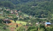 Chỉ đạo giải tỏa toàn bộ ngôi làng xây ‘chui’ trên đất rừng