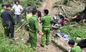 Bắt 3 lâm tặc triệt hạ rừng bạch tùng hàng trăm năm tuổi