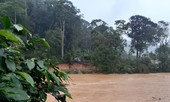 Hàng trăm người đang tìm kiếm 4 du khách bị lũ cuốn ở Lâm Đồng
