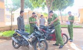 Băng trộm dùng thiết bị phá sóng lấy xe, đặt 'chỉ tiêu' cho mỗi phi vụ