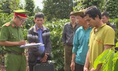 Kẻ chuyên trộm cắp và phá hoại sầu riêng, hồ tiêu sa lưới