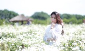 Nghìn người chen chân chụp ảnh cúc họa mi, dịch vụ 'ăn theo' hốt bạc