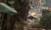 Phát hiện thi thể người đàn ông nghi bị giết rồi đốt xác trong thùng phuy