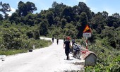 Vụ xe khách lao xuống vực ở Kon Tum: Nếu có hộ lan đường, 6 người sẽ không chết