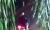 Báo tin gỗ lậu, phóng viên bị 2 kẻ bịt mặt đuổi chém