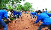 Thúc đẩy tinh thần xung kích tình nguyện