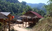 Buôn bán bào thai miền biên viễn: Tiềm ẩn nguy cơ