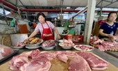 Giá lợn tiếp tục tăng: Ai đang thao túng?