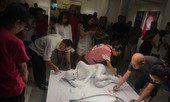 Bản sắc Lê Nguyên Mạnh