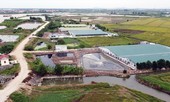 Dân khổ vì trang trại lợn gây ô nhiễm