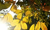 Miền Bắc tăng nhiệt trước khi đón gió mùa