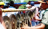 Diệu vợi mùa 'ăn năm, uống tháng'