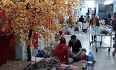 Đón xuân giữa làn ranh sinh tử