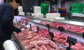 Cách nào tháo 'ngòi nổ' lạm phát 2020?