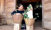 Người buôn Lang với giấc mơ nhà dài