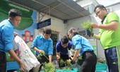 Sống xanh bắt đầu từ nơi làm việc