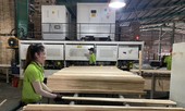 Gỗ, thủy sản… bứt tốc vào EU