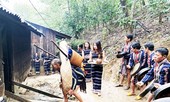 “Bắt chồng” khi mùa xuân chạm ngõ