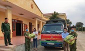 Cán bộ Đoàn tặng người cách ly cả tấn rau