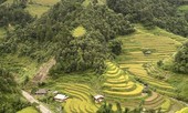 Mù Cang Chải không xa: Còn hơn một điểm đến