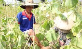 Mất cả 2 tay, ông chủ công ty máy tính khởi nghiệp với nông nghiệp cao