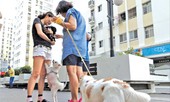 Những quy định có cũng như không