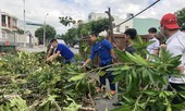 Cùng người dân dọn hậu quả bão gây ra