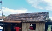 Đắk Lắk: 2 người chết, 1 người bị thương vì sét đánh khi đang gặt lúa