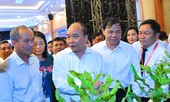 Thủ tướng: Trồng mắc ca, không để nông dân đơn độc