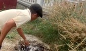 Công an tìm thân nhân phụ nữ bị đốt xác ở Củ Chi