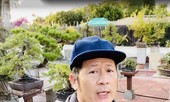 Khu vườn trồng bon sai rộng 2.000m2 có cây cao nhất thành phố ở Mỹ của Bằng Kiều