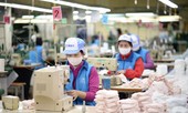 Căng thẳng nguồn cung, khẩu trang y tế tiếp tục khan hàng
