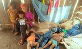 Lời ru buồn vời vợi đại ngàn, chuyện dài chưa hồi kết