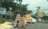 Mua 'lúa non' quanh dự án Long Thành
