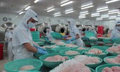Xuất khẩu nông, lâm, thủy sản hướng tới 41 tỷ USD: Trông vào đâu?