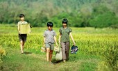 Bài 3: Phim ảnh bỏ rơi con trẻ