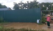 Chiếm dụng đất trồng cây, chính quyền bất lực