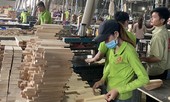 Ngấm đòn COVID, doanh nghiệp còn bị áp thuế sai