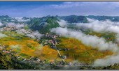 'Châu Xưa' đổi mới