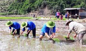 Làm thế nào để Luật Thanh niên 2020 sớm đi vào cuộc sống?