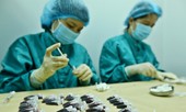 Việt Nam có cơ hội tiếp cận sớm vắc-xin COVID-19