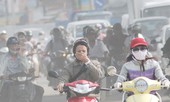 Xử nghiêm hành vi xâm hại môi trường, trẻ em