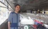 Người ‘cấp visa’ cho thỏ sang Nhật