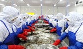 Phấn đấu năm 2020 tăng trưởng 2-3%