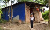 'Ðọt Chuối Non' lan tỏa yêu thương