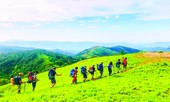 Tìm lại dấu vết 'con đường muối'