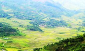 Tôi đi săn chuột 'quý tộc'